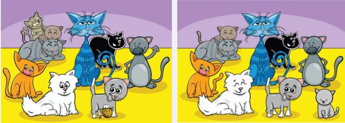Tes IQ: Temukan 6 Perbedaan dalam Gambar Kucing untuk Mengasah Kemampuan Analisa Kamu