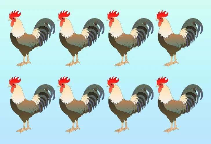 Tes IQ: Asah Analisamu dengan Temukan Ayam Paling Berbeda dalam Waktu 4 Detik