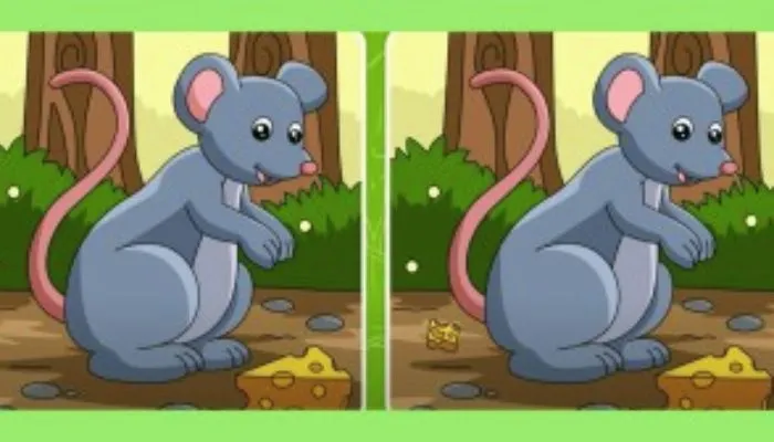 Tes IQ: Temukan 5 Perbedaan pada Gambar Tikus Makan Keju