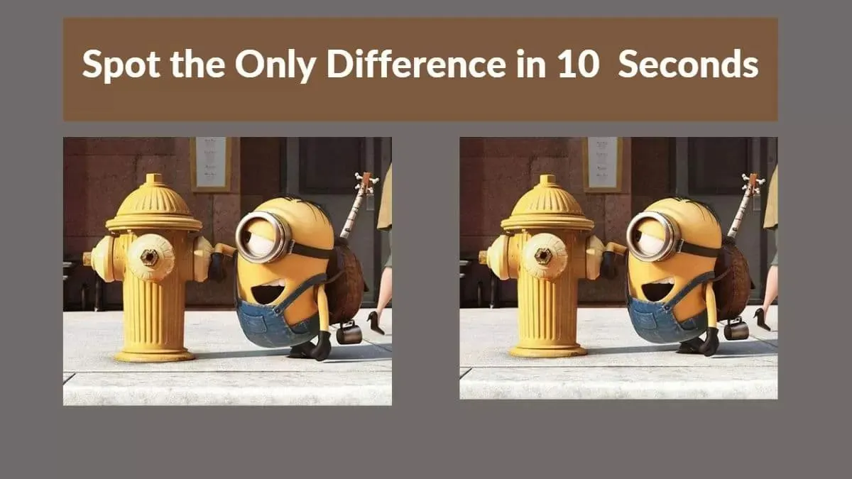 Tes IQ.