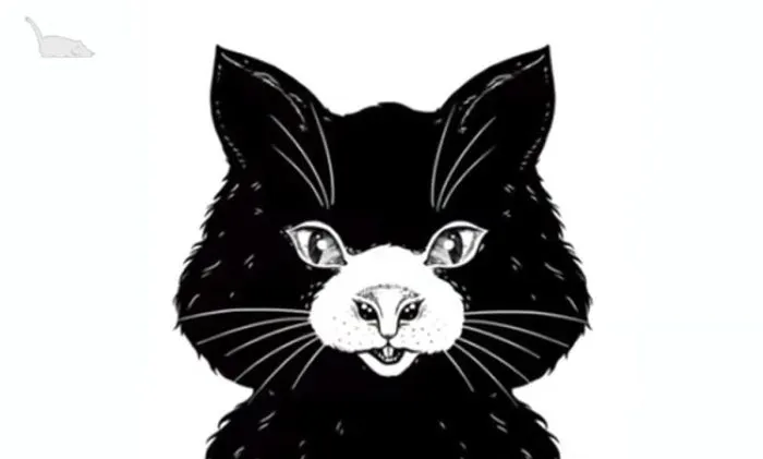 Tes Kepribadian: Kucing atau Tikus, Hewan Pertama yang Kamu Lihat Mengungkap Hubungan dengan Pasangan Saat Ini