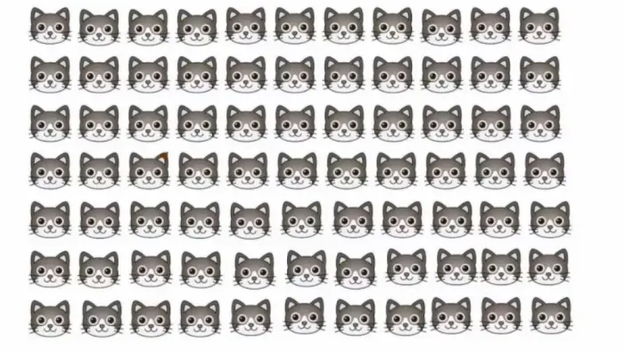Tes Penglihatan: Temukan Satu Kucing Paling Berbeda dari Gambar Ilusi Optik Ini