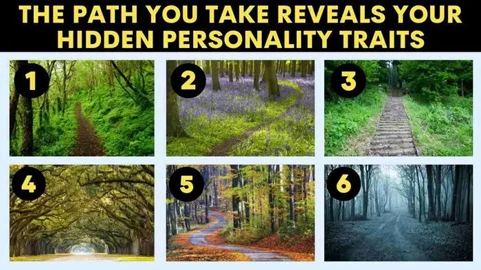 Tes Psikologi: Manakah Jalur Hutan yang Ingin Dilewati? Pilihanmu Bantu Mengungkap Sifat Kamu yang Paling Dominan