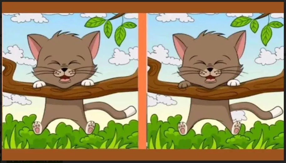 Tes IQ: Merasa Bosan? Temukan 3 Perbedaan pada Gambar Kucing Tersangkut di Pohon untuk Uji Kemampuan Observasi