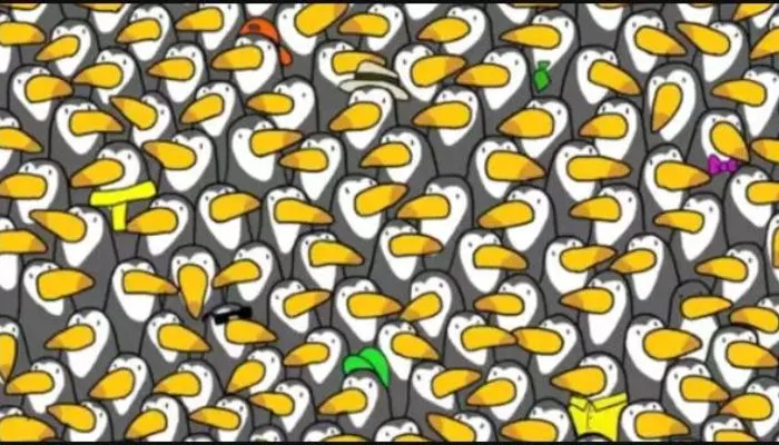 Tes IQ: Temukan Penguin di Antara Burung Toco Toucan untuk Uji Kejelian Matamu dalam Waktu 10 Detik