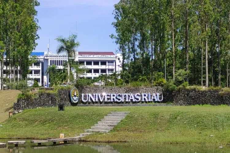 Bagi calon peserta UTBK SNBT 2024 yang ingin memilih peminatan prodi S1 di Universitas Riau (UNRI), dapat mengecek standar nilai rata-rata atau skor minimal untuk lolos seleksi tes SNBT dengan mengacu pada data UTBK SNBT tahun 2023.