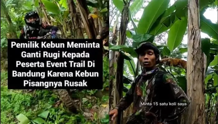 Viral Pemilik Kebun Minta Ganti Rugi pada Peserta Event Trail karena Kebun Pisangnya Rusak