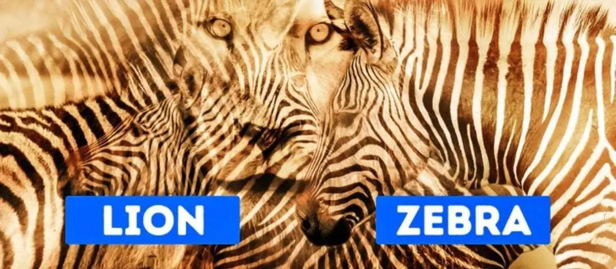 Tes Kepribadian: Apa yang Kamu Lihat Pertama Kali Bongkar Sifat Aslimu