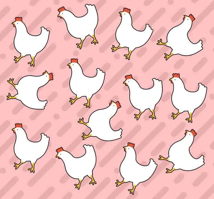 Tes Penglihatan: Uji Ketajaman Mata, Kamu Bisa Menemukan Ayam yang Aneh Dalam 7 Detik?