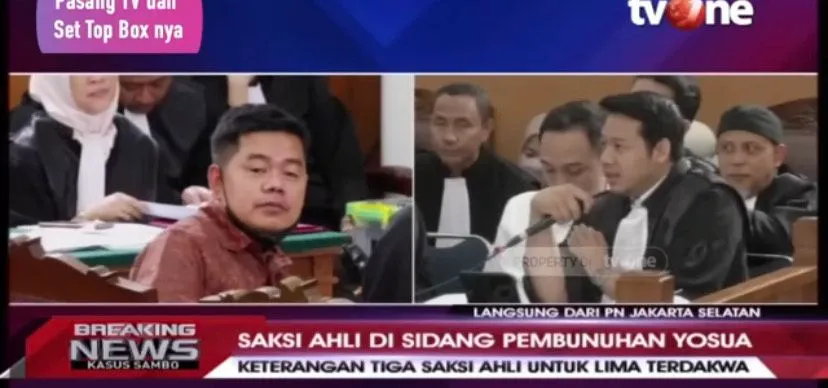 Soal Sikap Pasif Bripka RR Saat Penembakan Brigadir J, Ahli Pidana: Ricky Rizal Pantas Jadi Terdakwa