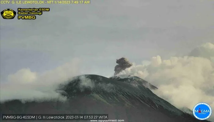 Gunung Api Ili Lewotolok yang terletak di Kabupaten Lembata, Provinsi Nusa Tenggara Timur (NTT) kembali alami erupsi, Sabtu, 14 Januari 2023.