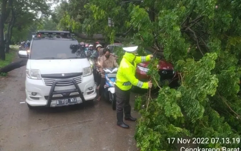 Petugas polisi mengevakuasi pohon tumbang yang menutupi jalan.