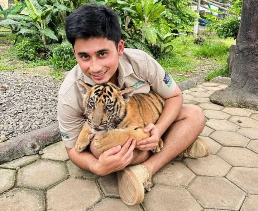 Biaya Makan Hewan Alshad Ahmad