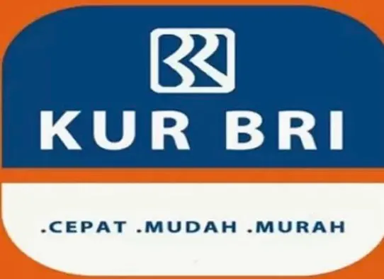 KUR Bank BRI 2023 