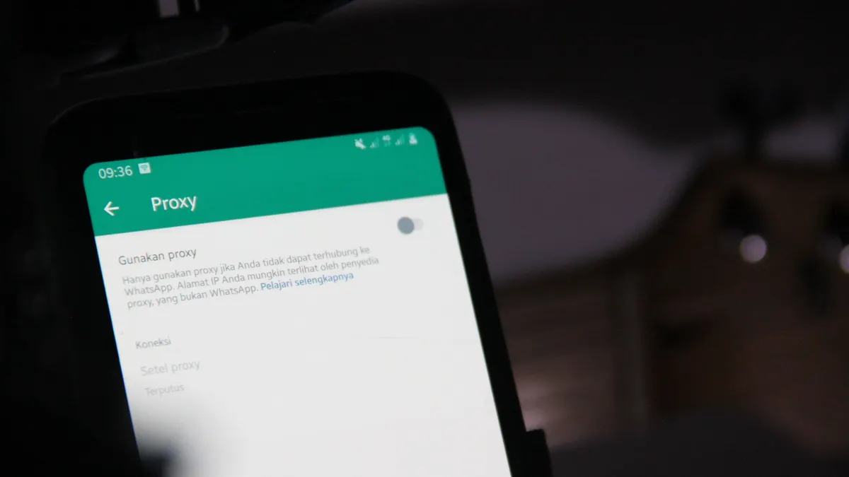 Proxy di fitur baru WhatsApp.
