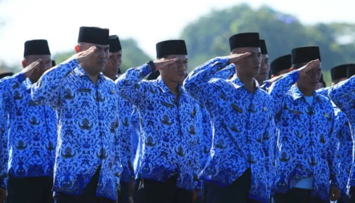 Kabar Gembira! Tenaga Honorer Berpeluang Diangkat Jadi PNS