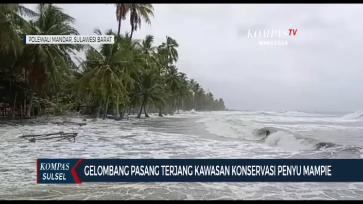 Hard Gumay Ramal Gelombang Besar di Laut Sulawesi, Kini Konservasi Penyu Mampie Diterjang Gelombang Pasang Air