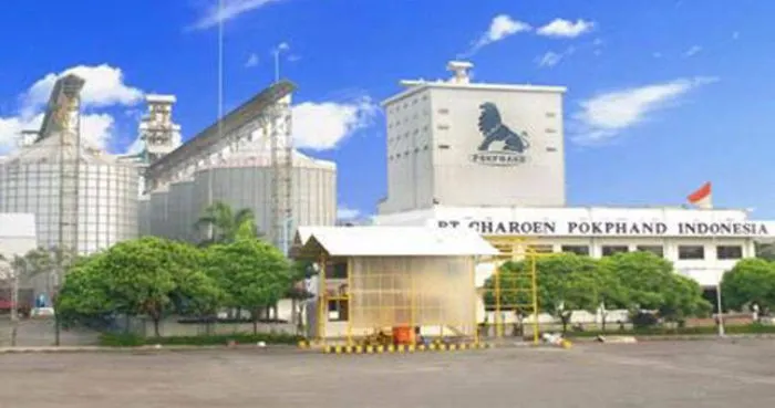 Info Loker Terbaru 2023: PT Charoen Pokphand Indonesia Butuh Junior Analyst, Cek Selengkapnya di Sini!