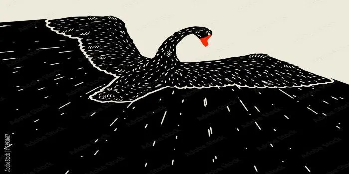 Belum Terpetakan dan Langka Terjadi, BMKG Sebut Gempa Jayapura Black Swan Earthquake
