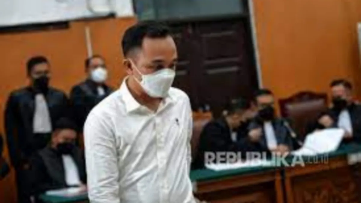 Lebih Tinggi Daripada Tuntutan Jaksa! Ricky Rizal Divonis 13 Tahun Penjara oleh Hakim.(Republika.co.id)