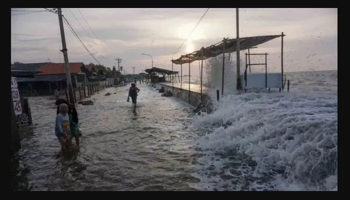 Waspada! 21 Wilayah Pesisir Di Indonesia Berpotensi Diterjang Banjir Rob, BMKG: Akibat Fenomena Bulan Baru