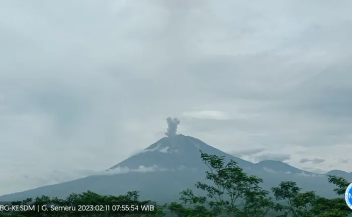 Erupsi Gunung Semeru yang terpantau dari PPGA Semeru di Gunung Sawur pada Sabtu (11/2/2023) pagi pukul 07.54 WIB.(Antara/HO-PVMBG)