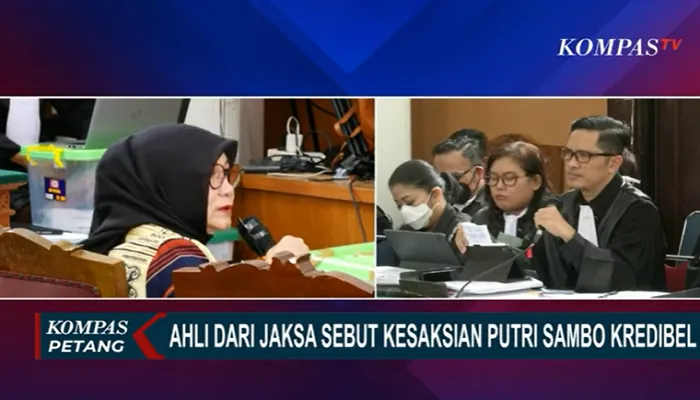 Adu Kesaksian Ahli Psikologi Forensik Reni Kusumowardhani vs Reza Indragiri Soal Kekerasan Seksual PC