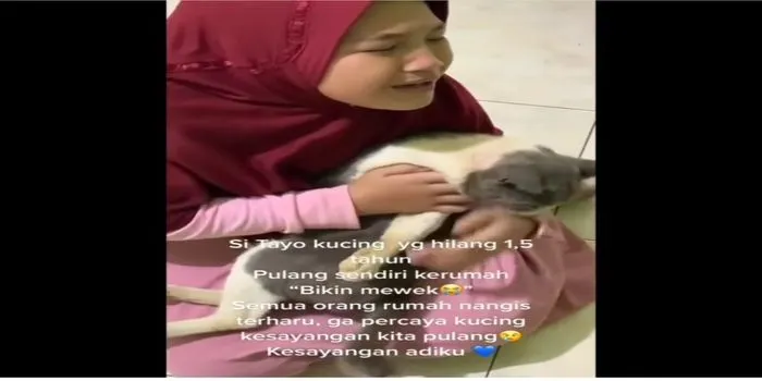 Video bocah perempuan yang menangis bahagia karena kucing Tayo kesayangannya kembali ke rumah setelah hilang 1,5 tahun