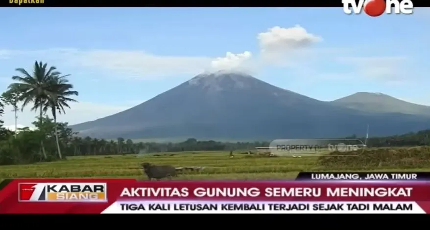 Gunung Semeru Kembali Erupsi, Warga Waspadai Ancaman Awan Panas dan Banjir Lahar Dingin  &nbsp;