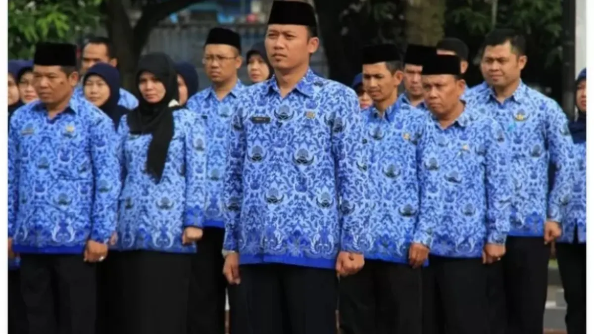 Benarkah seluruh tenaga honorer akan di angkat menjadi PNS di akhir masa jabatan Presiden Jokowi, yuk simak Info selngkapnya disini.(dok. kabupaten Mandailing Natal)