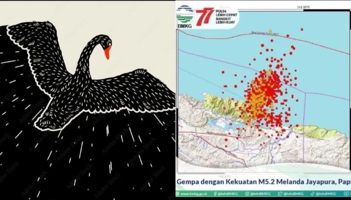 BMKG Sebut Gempa Jayapura Langka dan Jarang Terjadi, Juga Masuk Dalam &lsquo;Black Swan Earthquakes&rsquo;, Apa Itu?(Tangkap Layar Instagram @daryonobmkg)