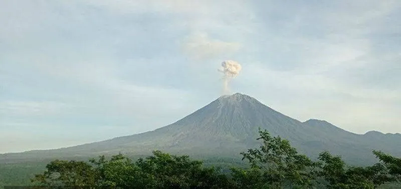 Update Erupsi Gunung Semeru: Keluarkan Lava Pijar Sejauh 800 Meter