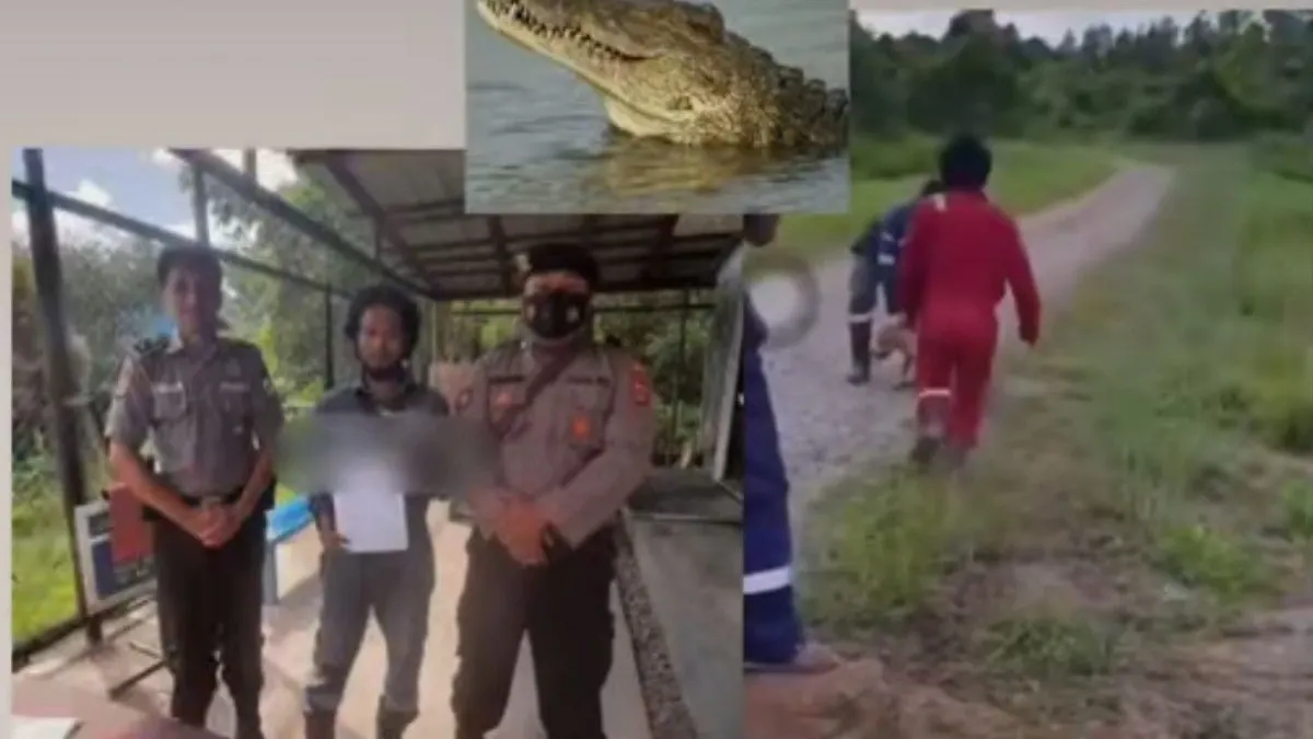3 Pelaku Pelempar Anjing ke Rawa-rawa Buaya di Nunukan Kalimantan Kini Jadi Tersangka