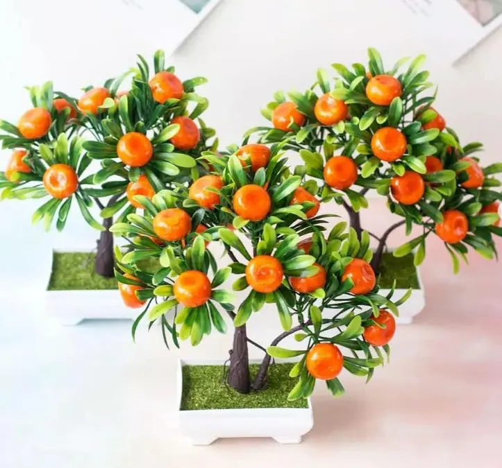 Mudah Banget! Tips Ampuh Cara Membuat Pohon Buah Mini dan Berbuah Lebat, Cuma Pake 2 Cara Ini