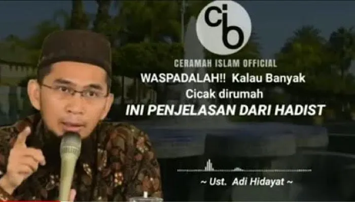 Kejamkah Jika Membunuh Cicak, Begini Penjelasan Ustaz Adi Hidayat