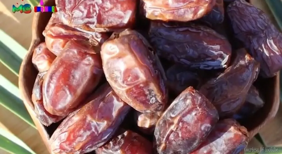 Simak 10 Fakta Unik Buah Kurma, Buah Khas dan Identik Bulan Ramadhan