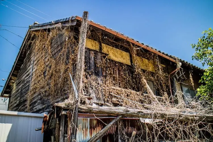 Jepang Mengalami Depopulasi, 9 Juta Rumah Tanpa Pewaris Jatuh ke Tangan Negara? Cek Info Lengkapnya!