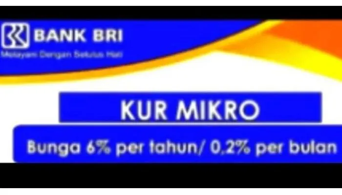 Ingin Pinjaman Besar dan Terjamin? KUR BRI 2023 Bisa Jadi Pilihan, Cek Syarat Lengkapnya di Sini!