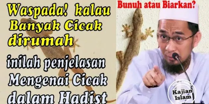 Ustadz Adi Hidayat (UAH) beberkan apa yang harus dilakukan jika ada hewan cicak di rumah, sebut harus dibunuh.