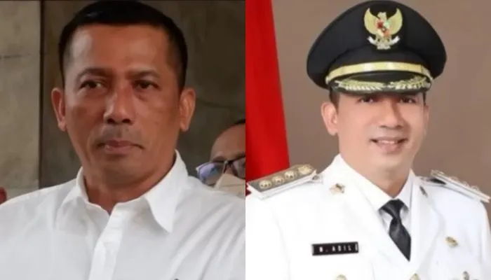 Bupati Meranti Minta Maaf