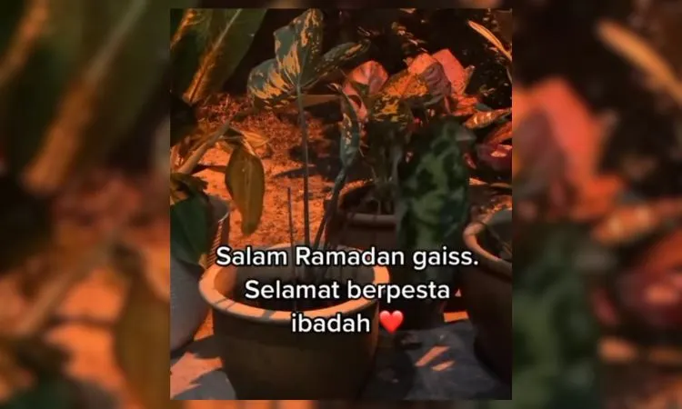 Sebuah video menunjukkan sebuah tanaman yang  berdzikir di dekat sebuah surau atau tempat ibadah umat muslim buat heboh warganet.