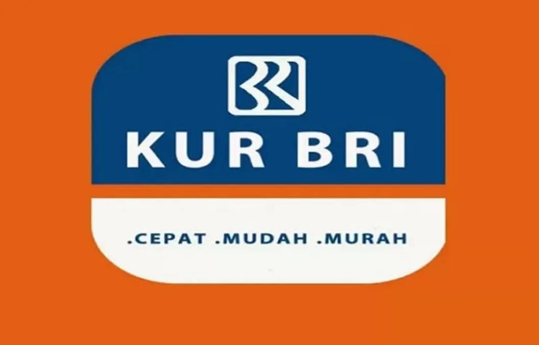 Mau Daftar KUR BRI 2023 Tapi di Area Kamu Belum Tersedia?