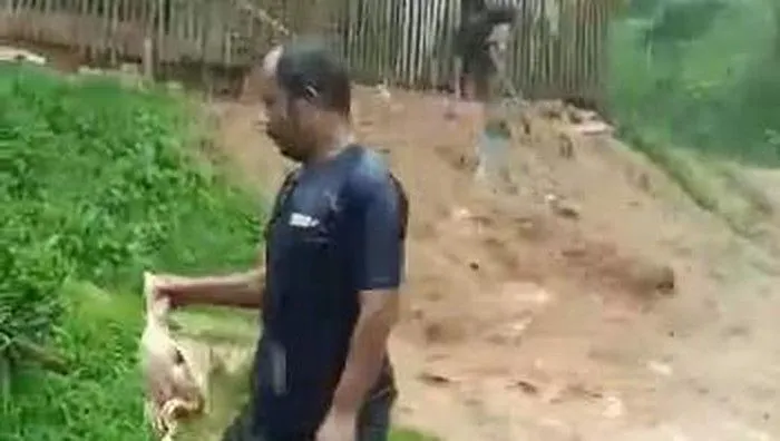 Banjir bandang di Cianjur sebabkan ayam ternak warga hanyut dan mati