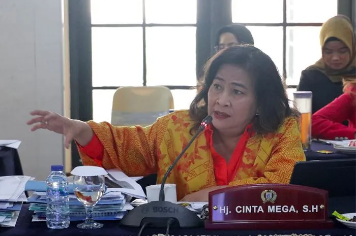 Cinta Mega