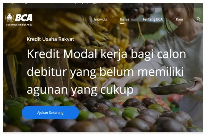 Illustrasi. KUR BCA 2023