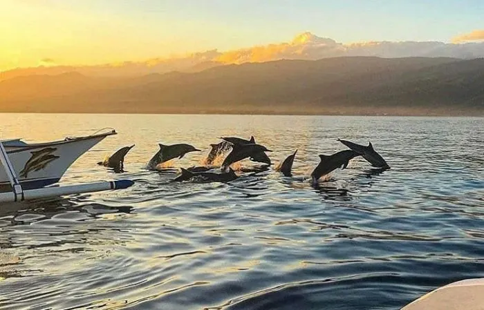 Pantai Lovina. Namun, apakah Anda sudah mengenal Buleleng? Bagian utara dari pulau Bali yang menawarkan panorama alam yang tak kalah menakjubkan.