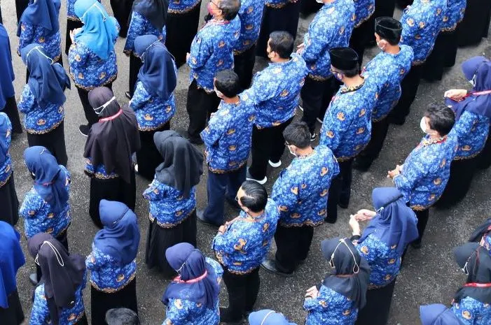 Ilustrasi CPNS 2023 untuk honorer dan fresh graduate..