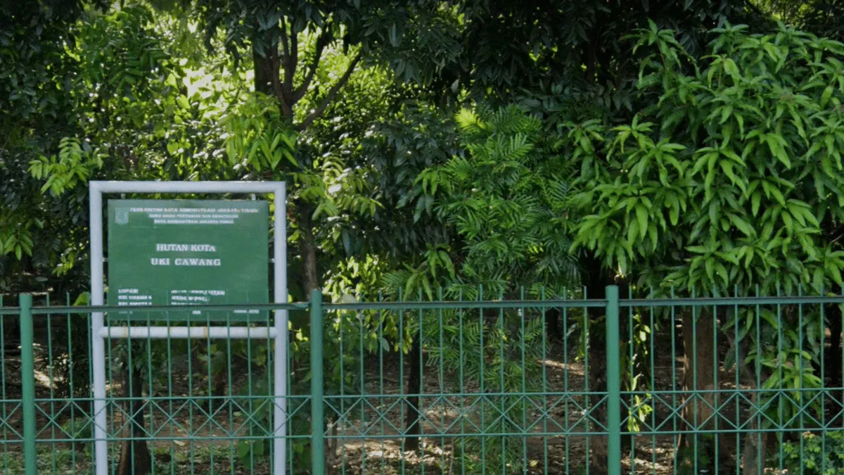Kontroversi Hutan Cawang Sarang LGBT, Dipelototi CCTV dan Satpol PP, Dibela Komnas HAM (Google Earth)