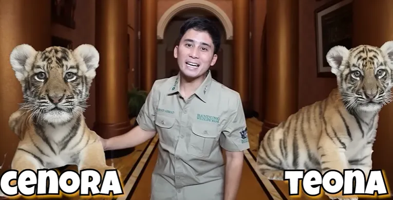Alshad Ahmad bersama anak harimau bernama Cenora dan Teona.