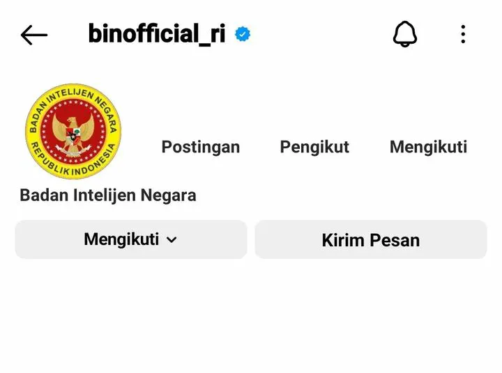 Tampilan akun Instagram BIN yang hilang.